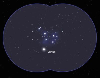 Venus-Pleiads