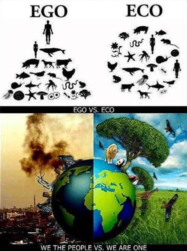 Ego vs. Eco