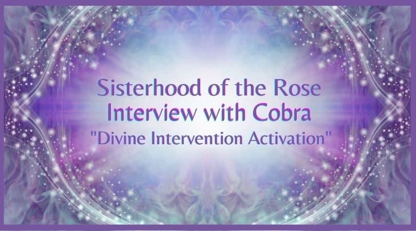SotR-interview-with-Cobra-Divine-Intervention-Activation