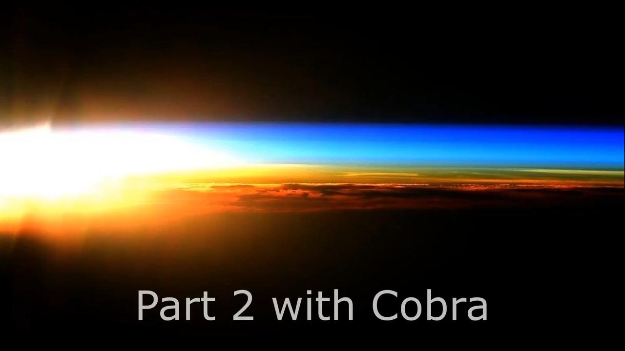 Cobra-Interview-2